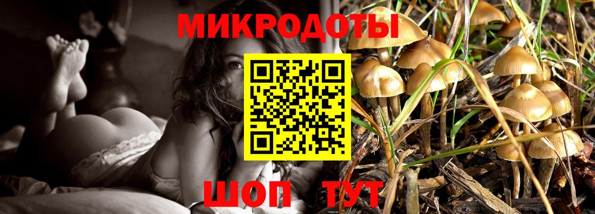 купить  цена  Галлюциногенные грибы мухоморы  Галлюциногенные грибы Magic Shrooms  Вход с VPN  Алексеевка 
