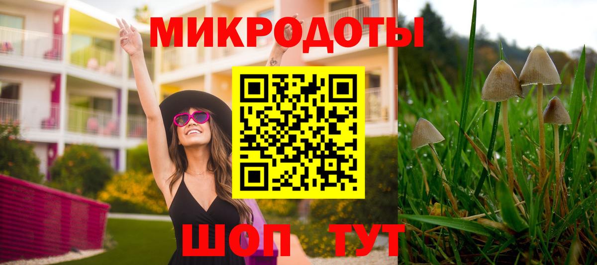 Галлюциногенные грибы мицелий Алексеевка