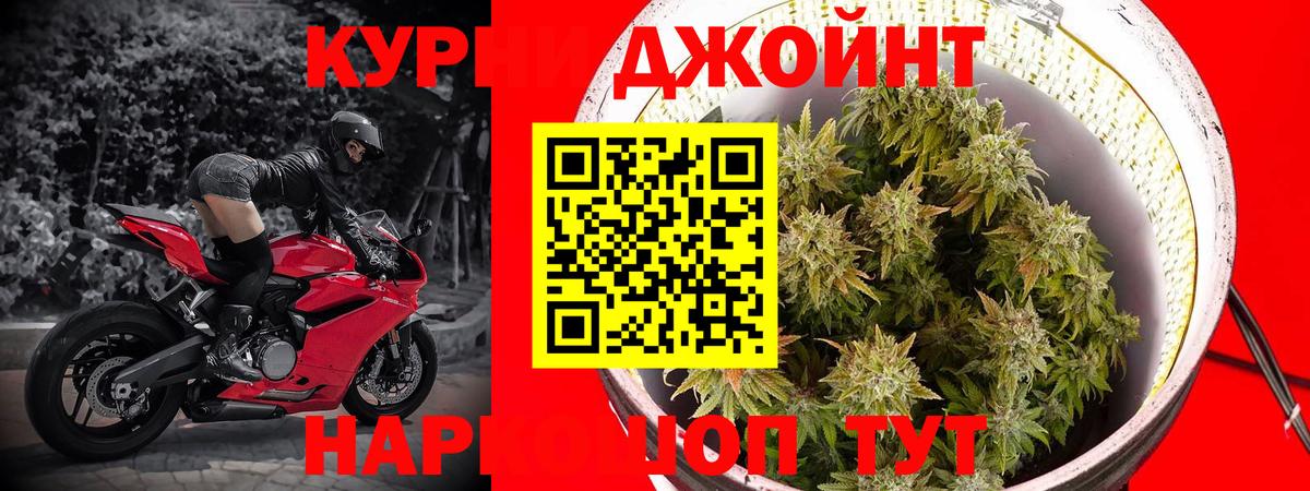 Конопля марихуана  Вход с VPN  Бошки марихуана индика  Алексеевка 